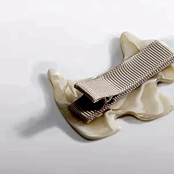 Abel & Lula Kışlık Kız Saç Tokası Ekru